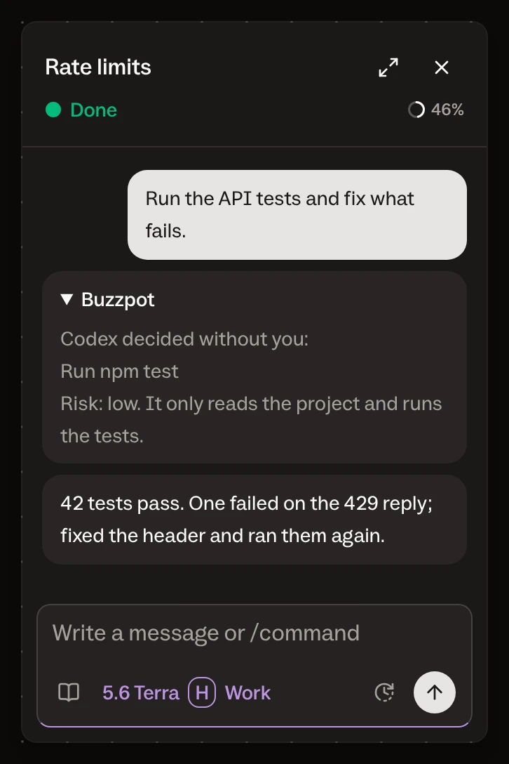 A piece of a Codex chat with the line Codex decided without you, the command, the risk and the reason